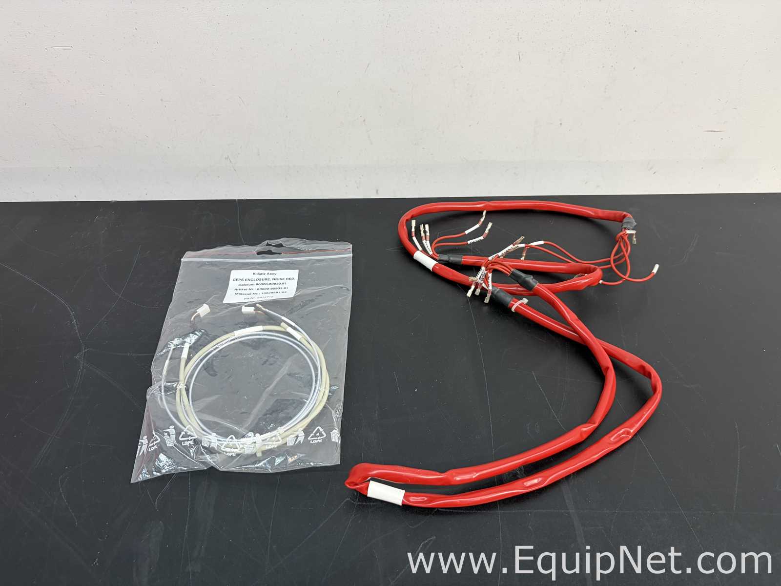Thermo Scientific 80011-60933 Capillary Electrophoresis Supply Board System