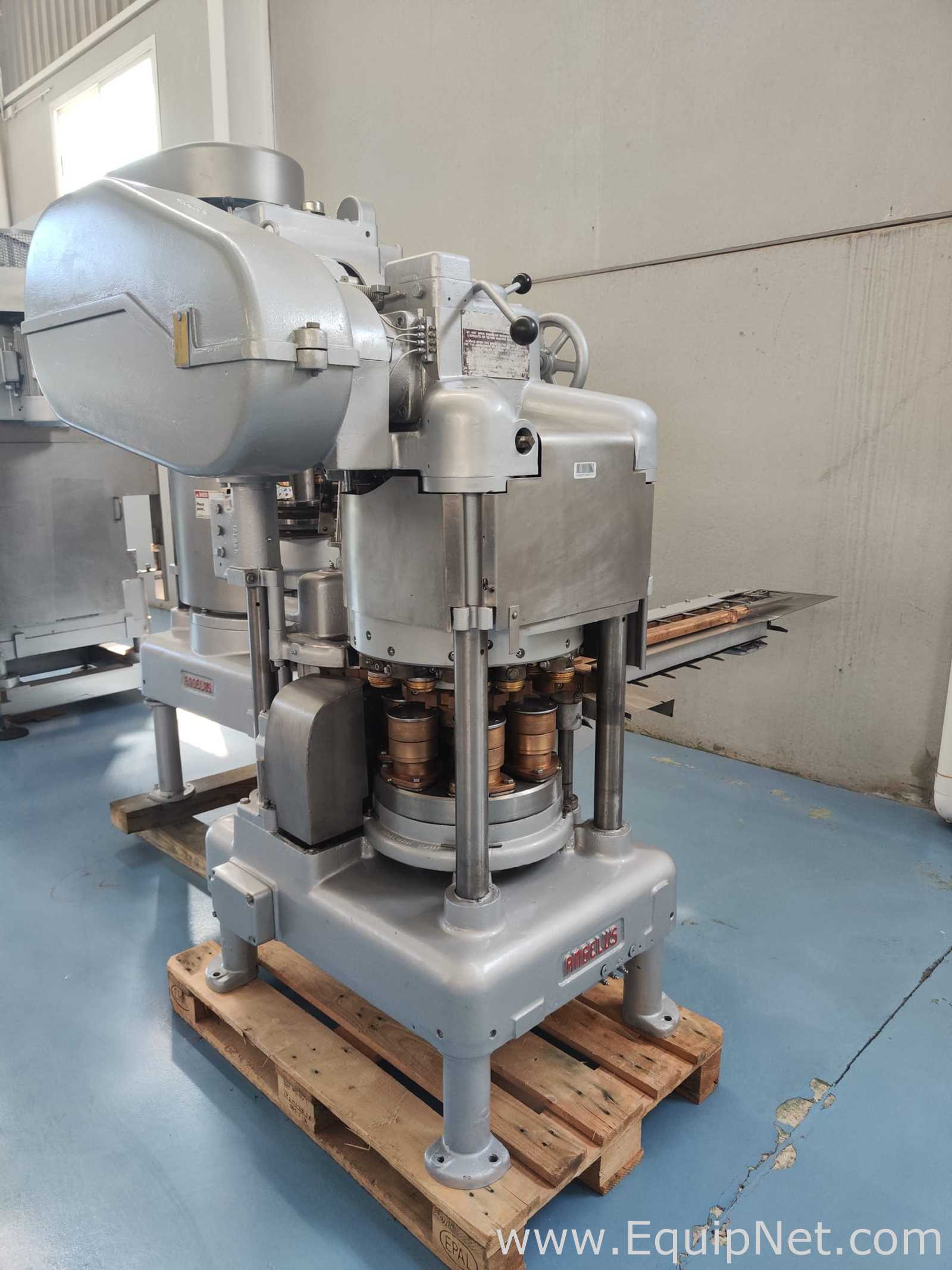 Angelus 60 L CAN SEAMER Seamer