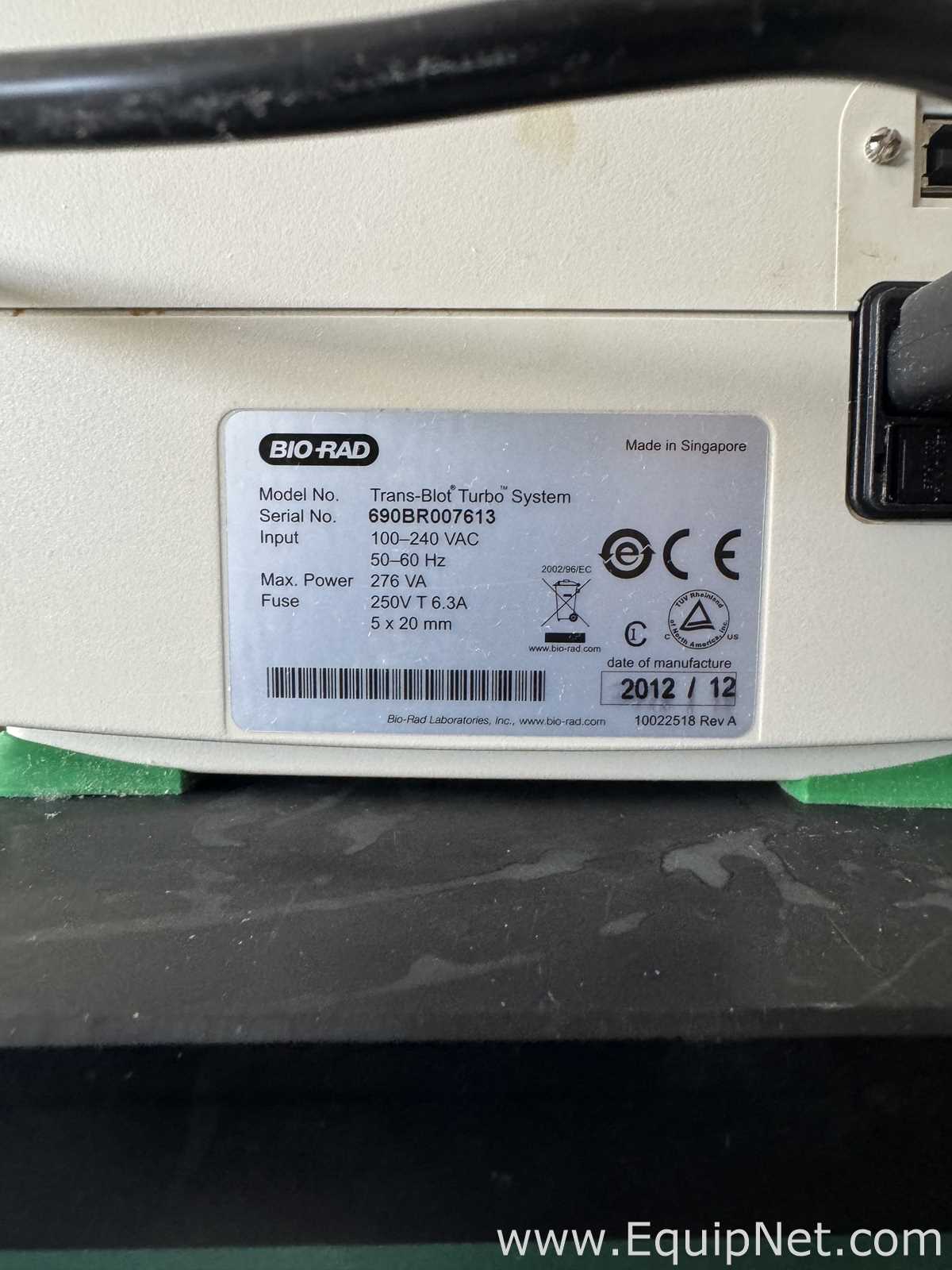 Elektrophorese Bio-Rad Trans Blot Turbo