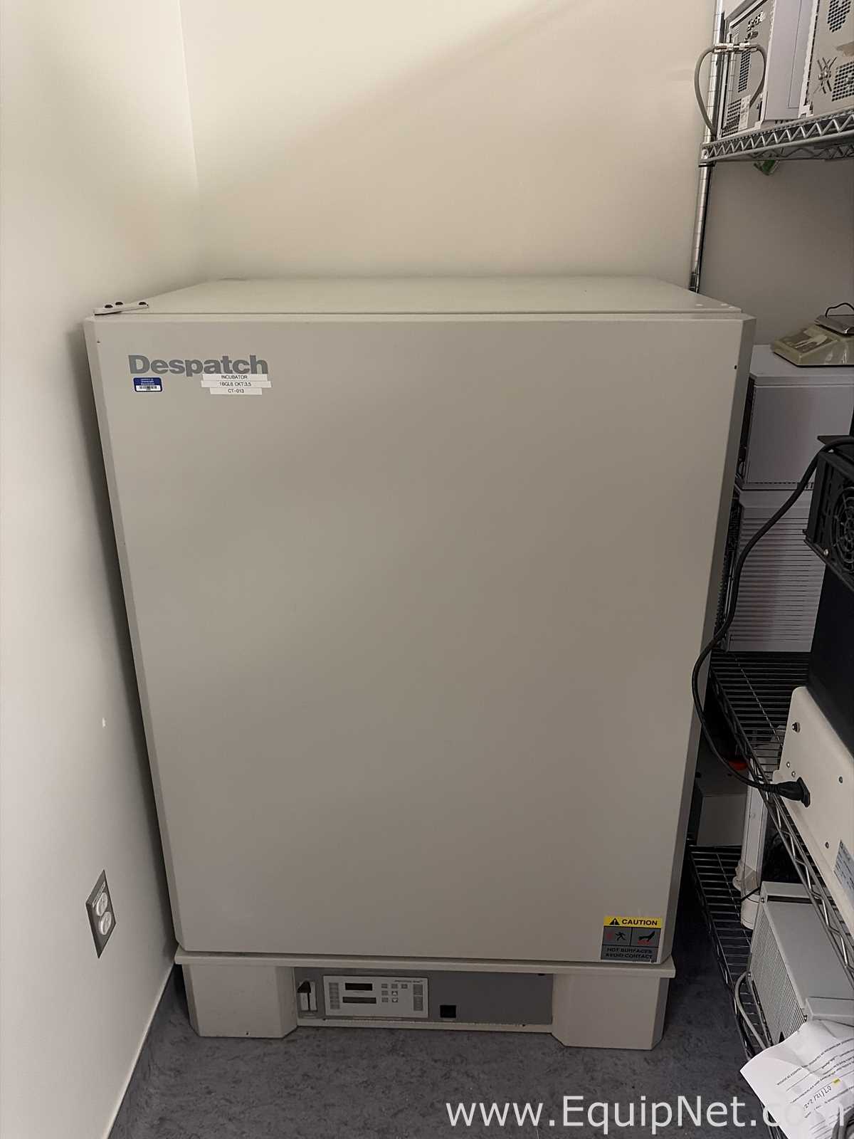 Horno de Laboratorio Despatch LAC2-12-6
