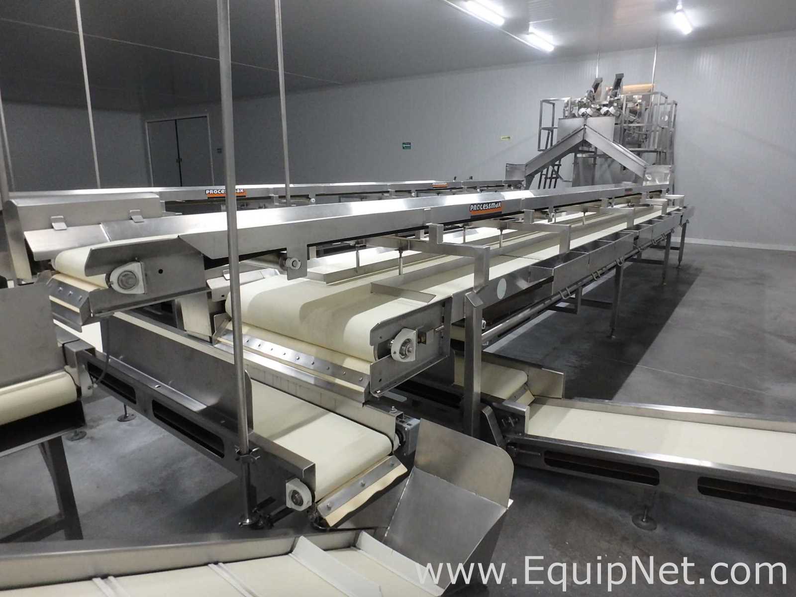 MIMSA Process Max Fruit Pulp Extraction Line