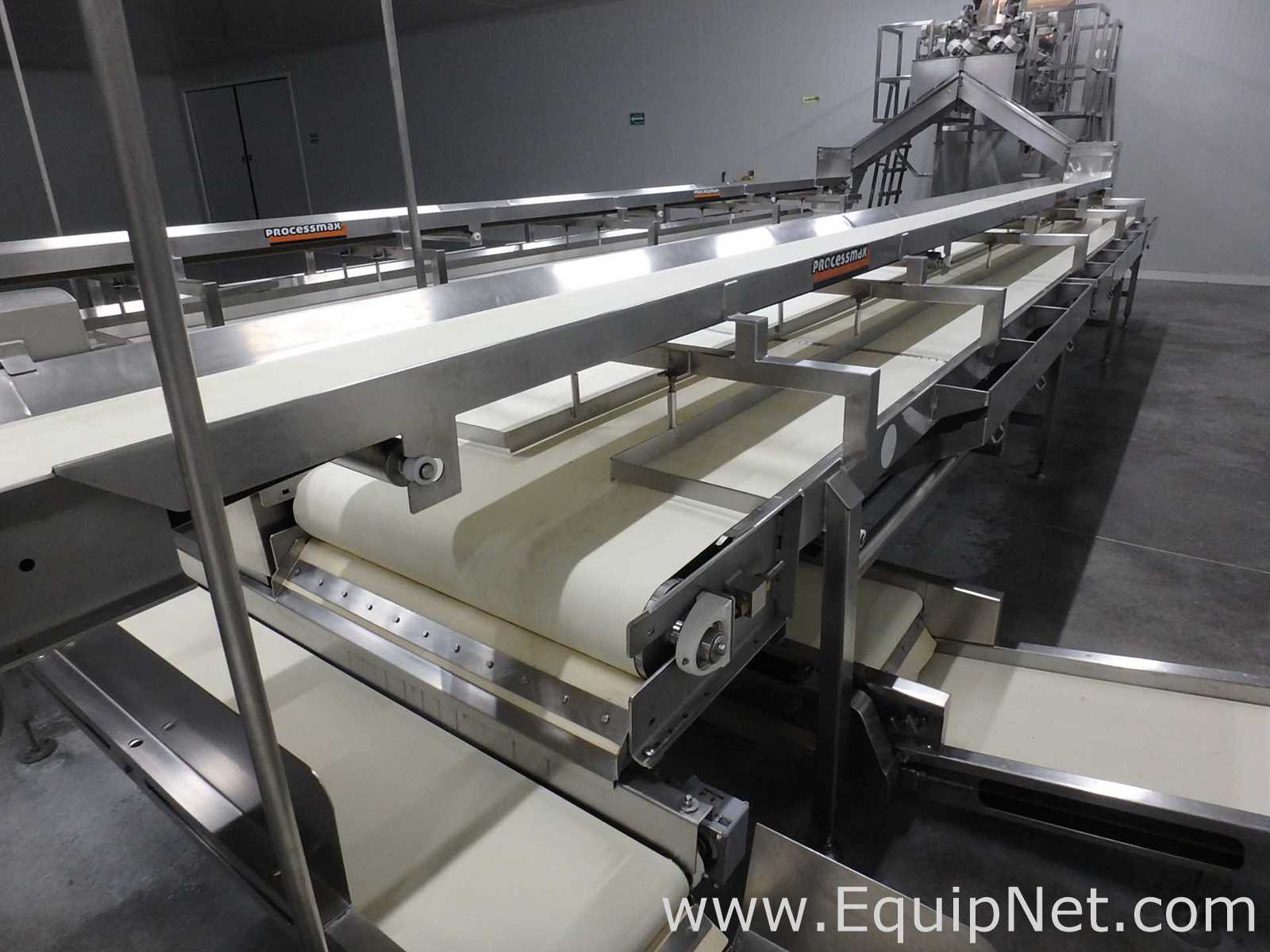 MIMSA Process Max Fruit Pulp Extraction Line