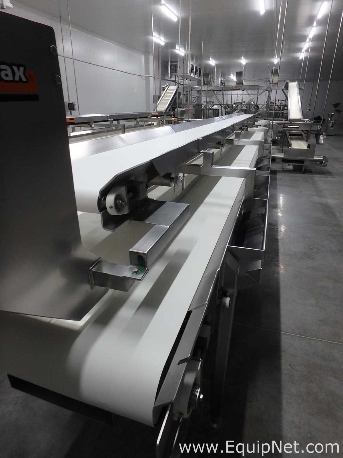MIMSA Process Max Fruit Pulp Extraction Line