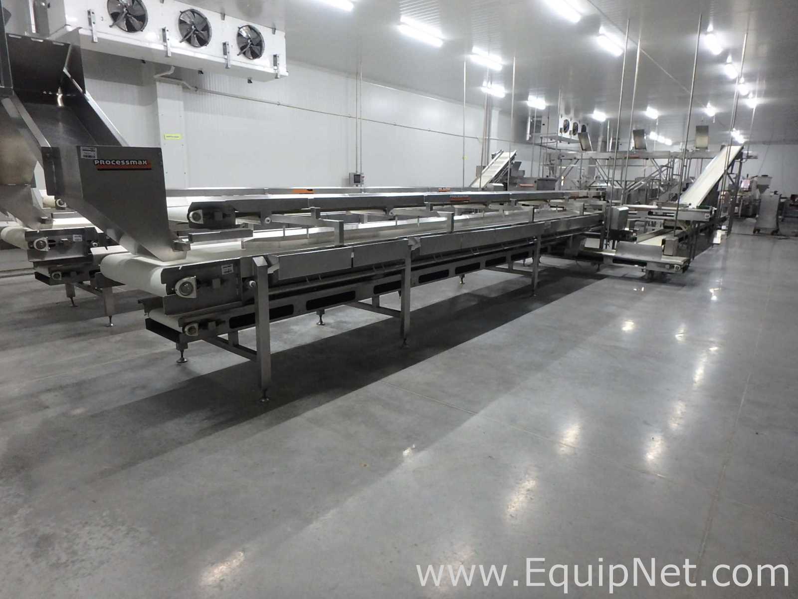 MIMSA Process Max Fruit Pulp Extraction Line