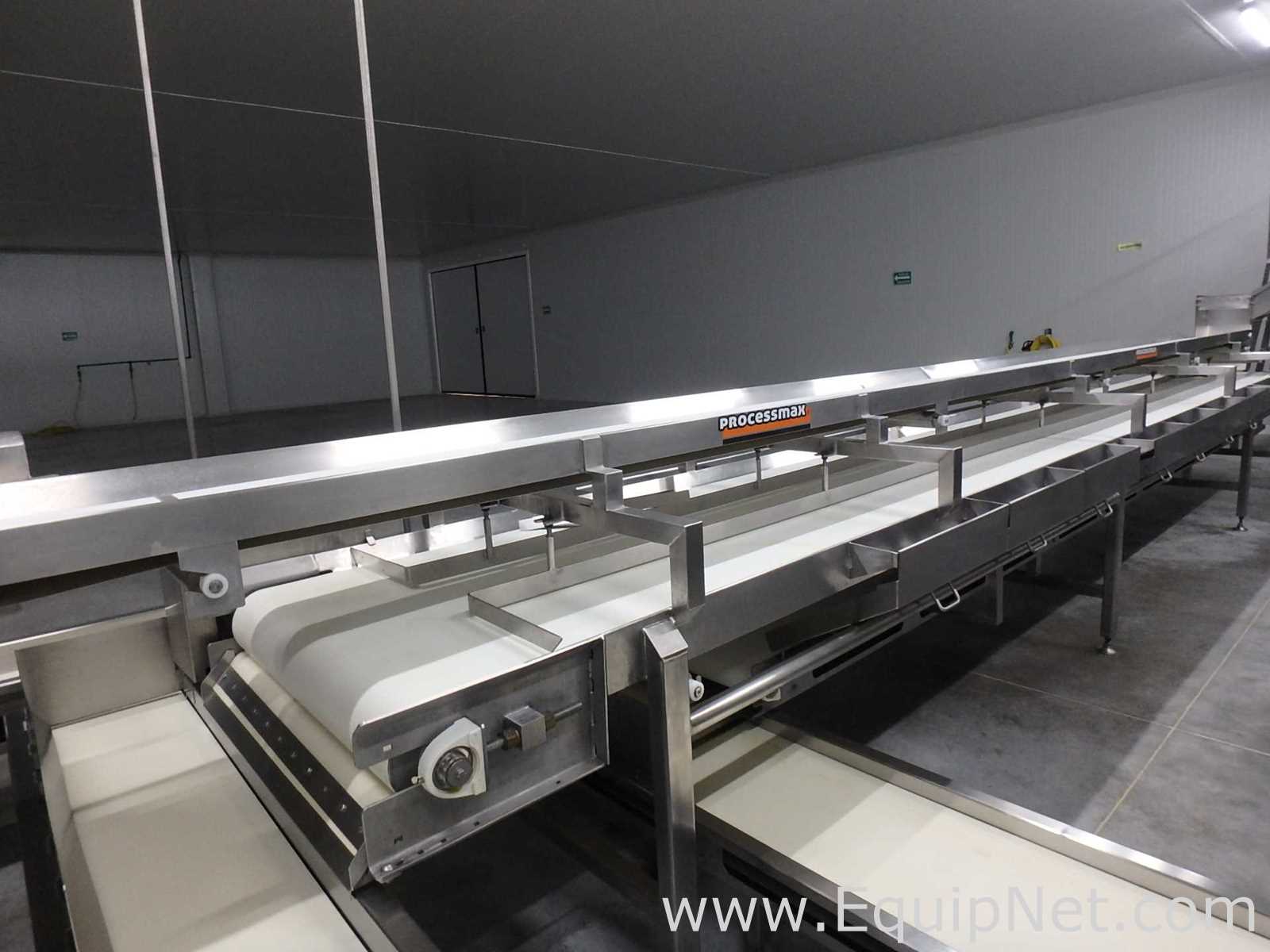 MIMSA Process Max Fruit Pulp Extraction Line