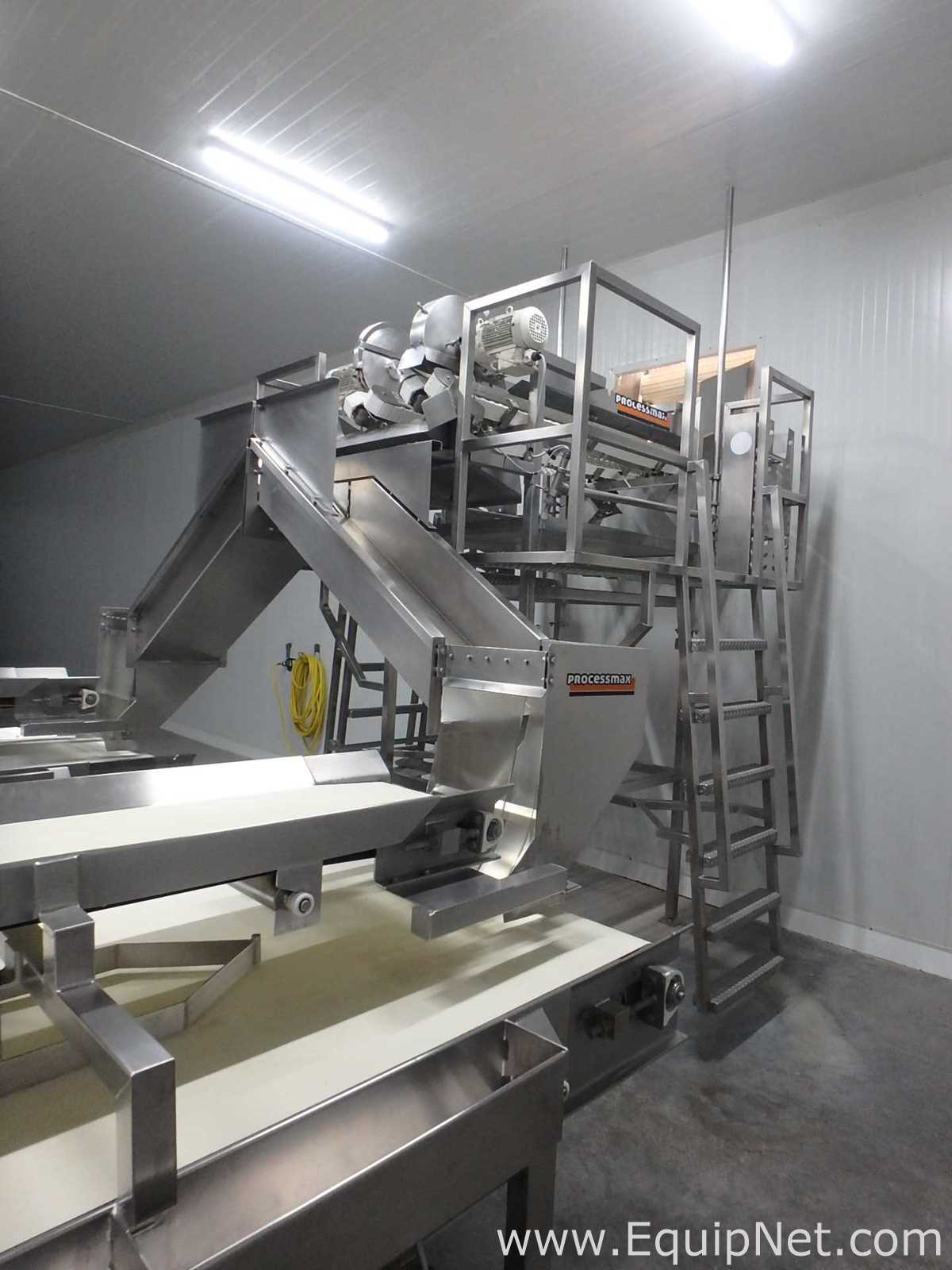 MIMSA Process Max Fruit Pulp Extraction Line