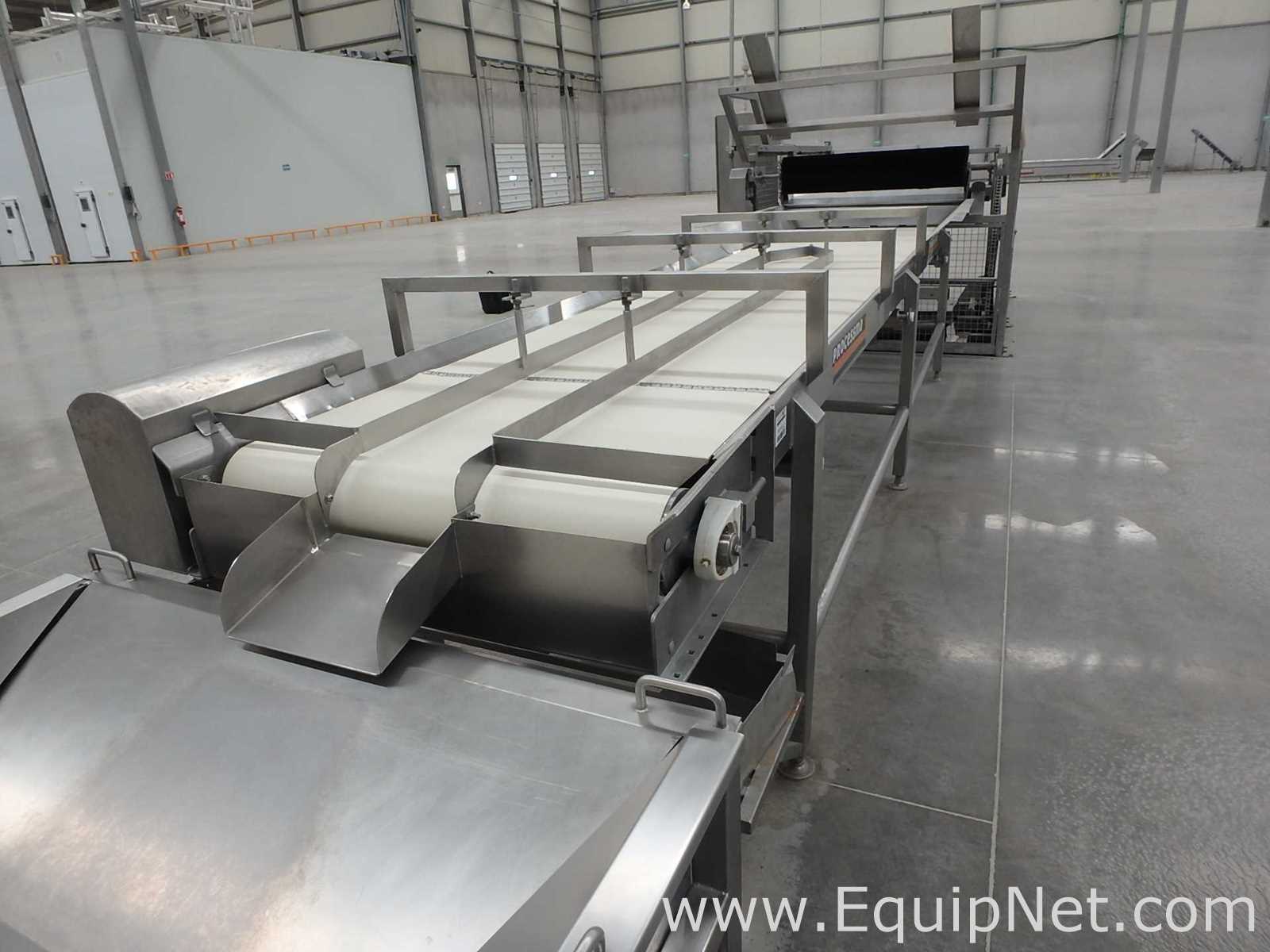 MIMSA Process Max Fruit Pulp Extraction Line