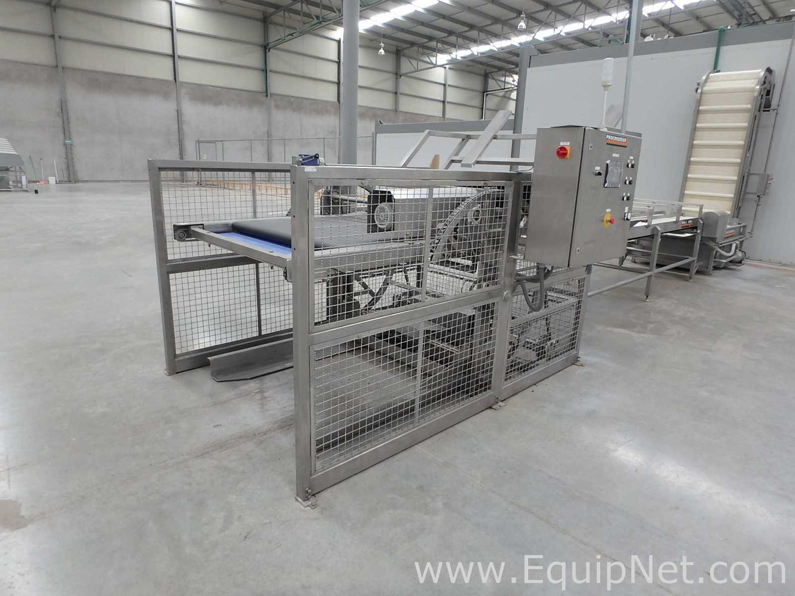 MIMSA Process Max Fruit Pulp Extraction Line