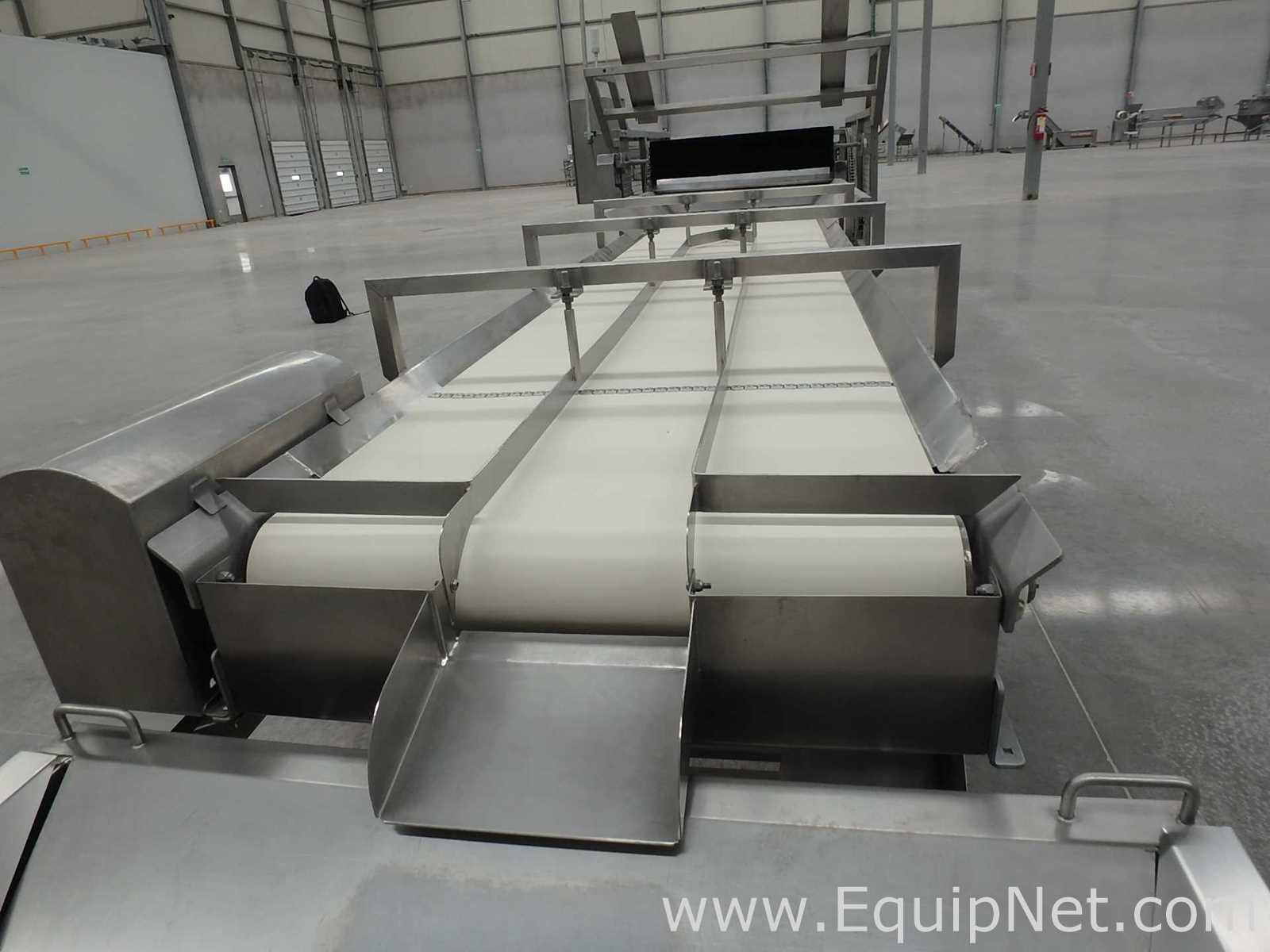 MIMSA Process Max Fruit Pulp Extraction Line